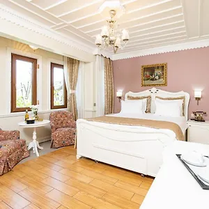 1207 Special Class Sultanahmet Hotell